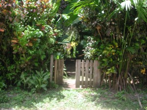 •Kiko as Shiva 2009 DSCN5029